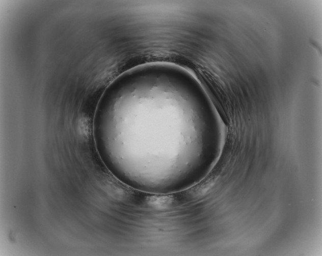X0000091190135200708161600