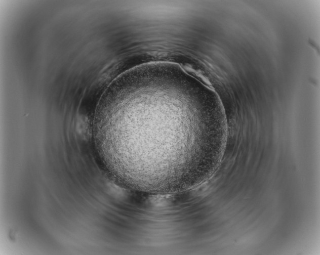 X0000091190136200708161600