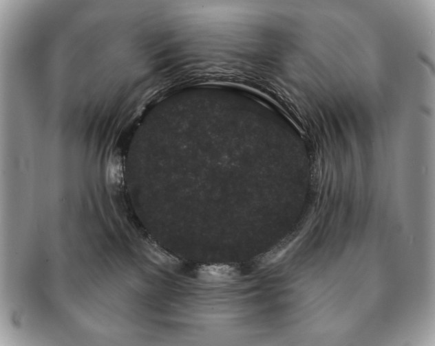 X0000091190137200708161600