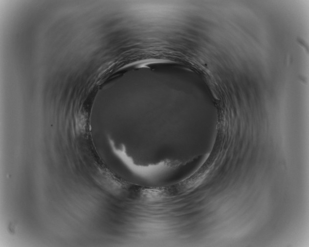 X0000091190139200708161559