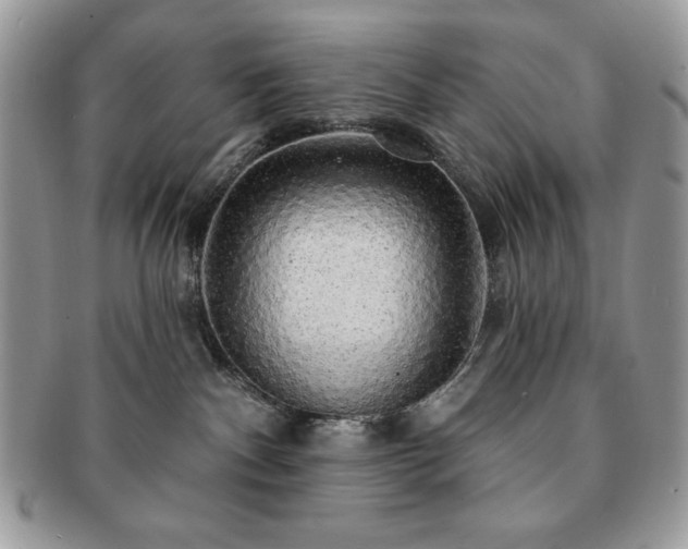 X0000091190140200708161559