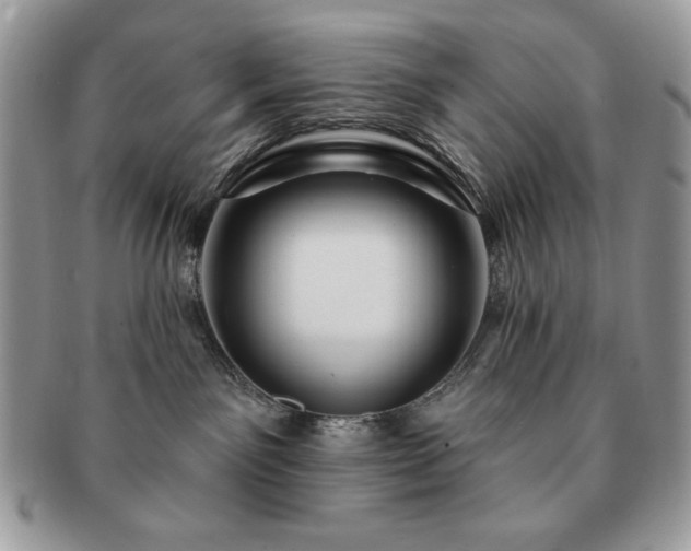 X0000091190141200708161559