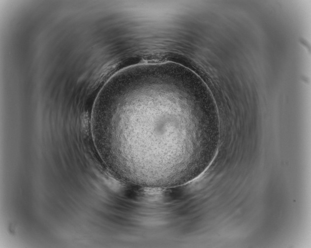X0000091190144200708161559