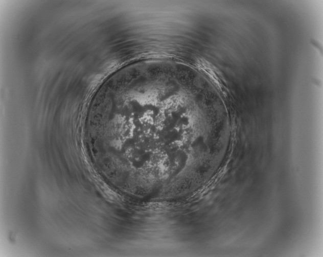 X0000091190145200708161559