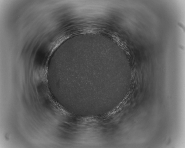 X0000091190146200708161559