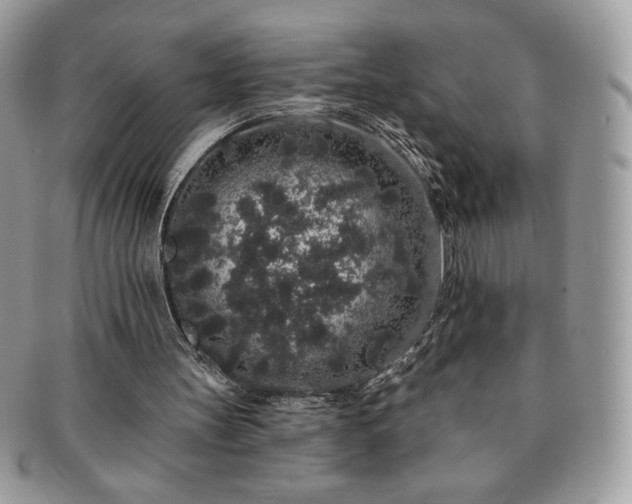 X0000091190147200708161559