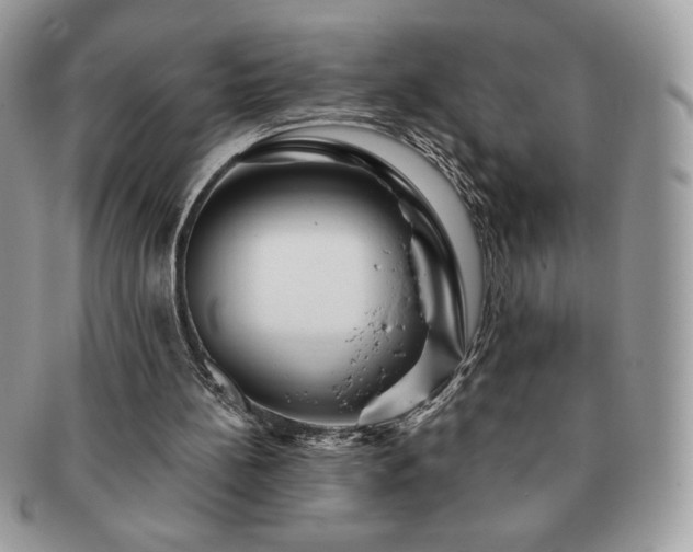 X0000091190148200708161559