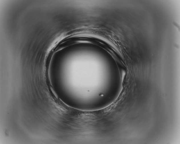X0000091190150200708161559