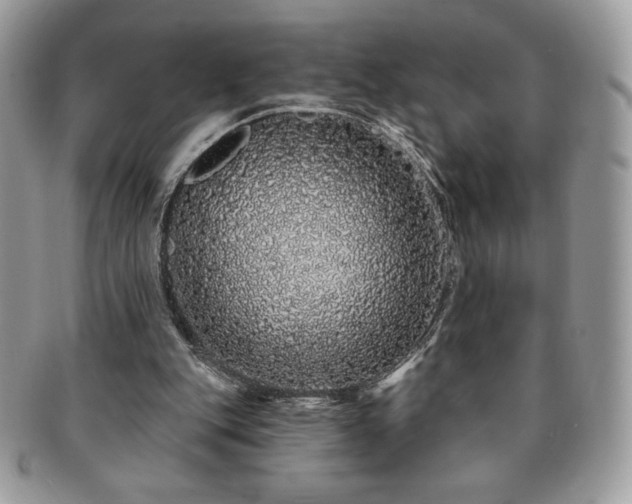 X0000091190151200708161559