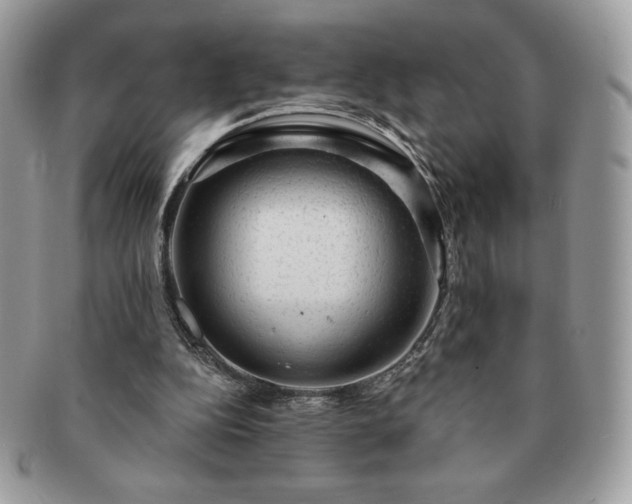X0000091190152200708161559