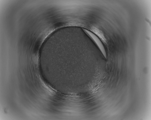 X0000091190156200708161559