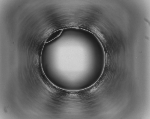 X0000091190157200708161559