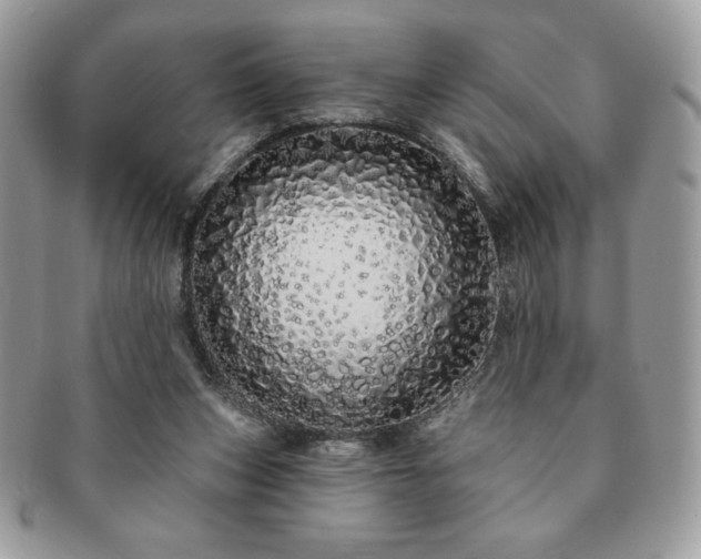 X0000091190159200708161559