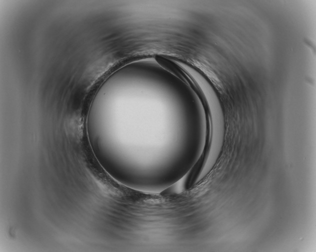 X0000091190160200708161559