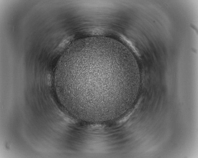 X0000091190161200708161559