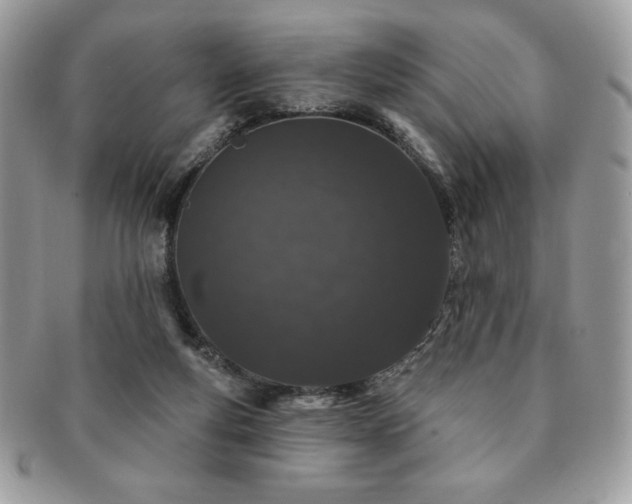 X0000091190163200708161559