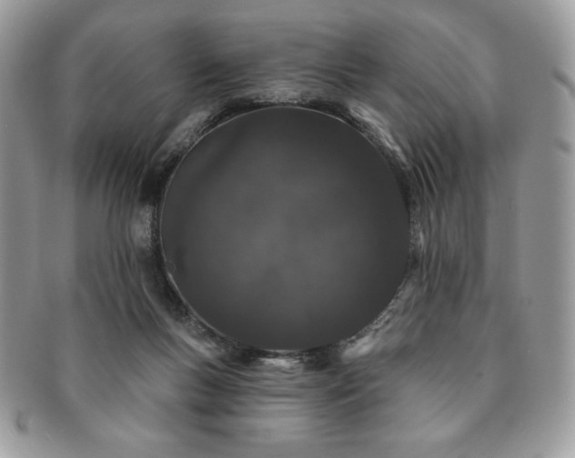 X0000091190167200708161559