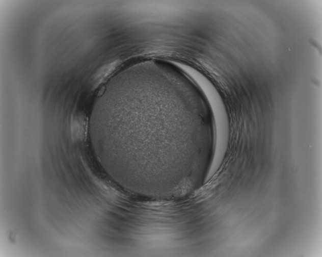 X0000091190168200708161559