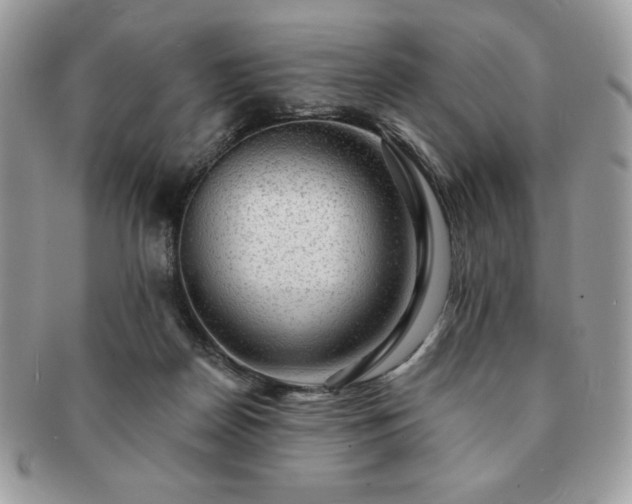 X0000091190170200708161559