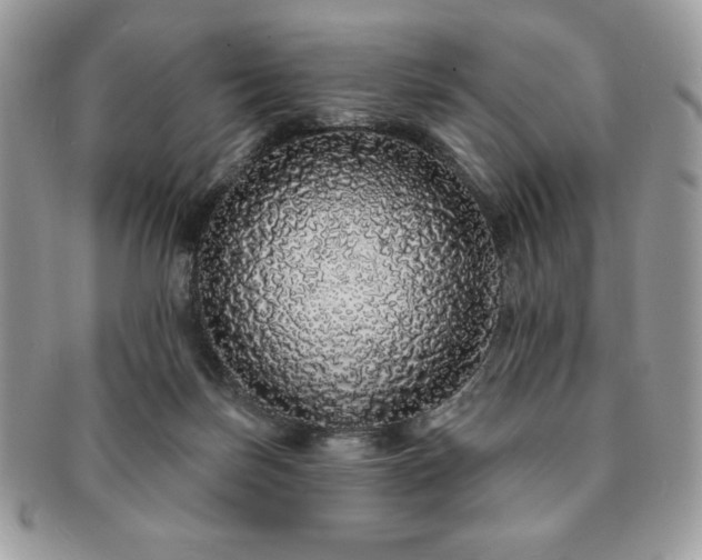 X0000091190171200708161559