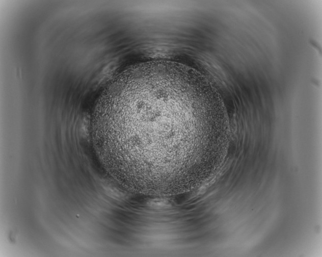 X0000091190175200708161559