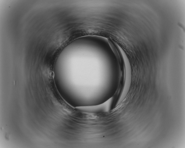 X0000091190176200708161559
