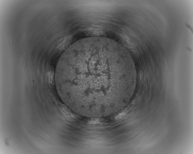 X0000091190177200708161559