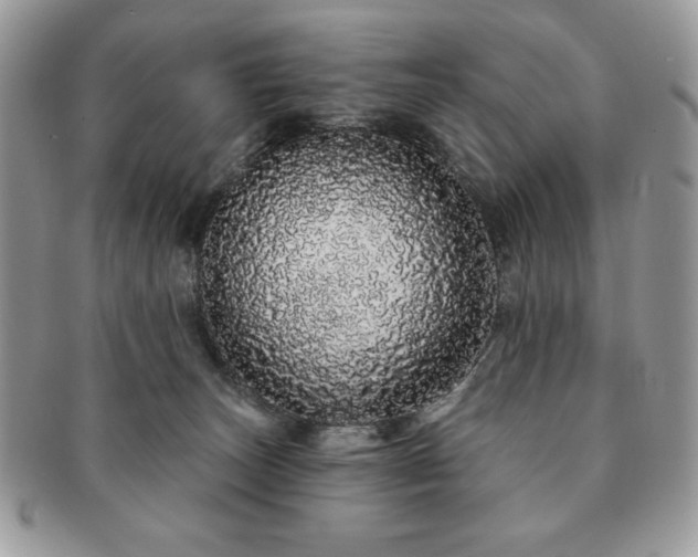 X0000091190179200708161559