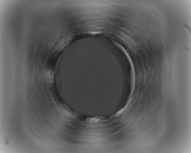 X0000091190180200708161559