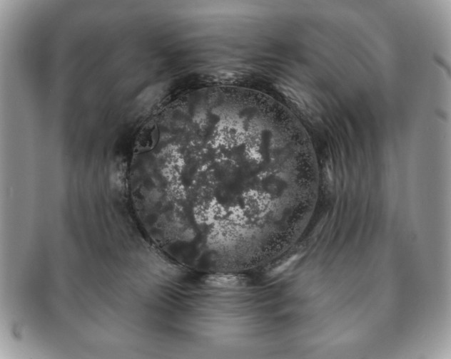 X0000091190181200708161559