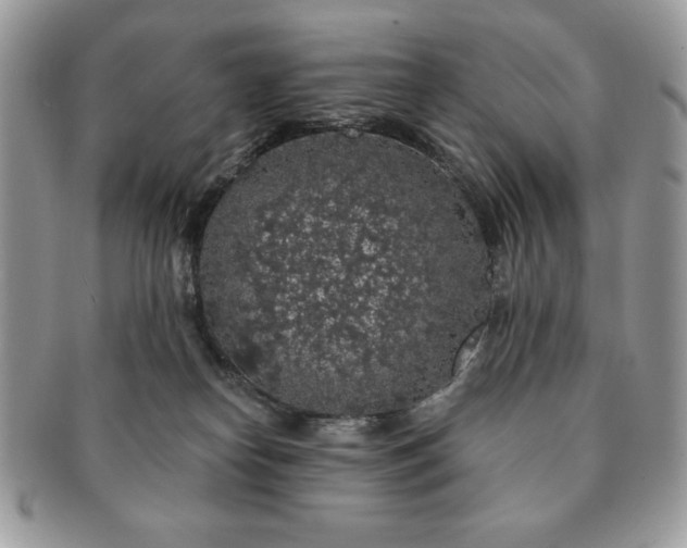 X0000091190182200708161559