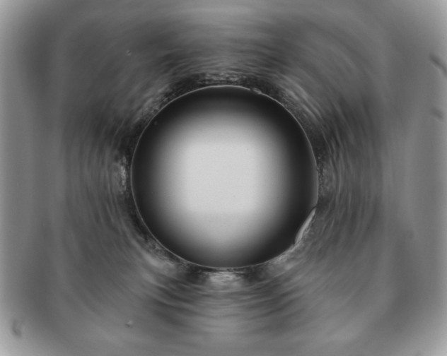 X0000091190183200708161559