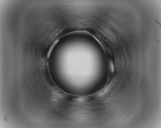 X0000091190184200708161559