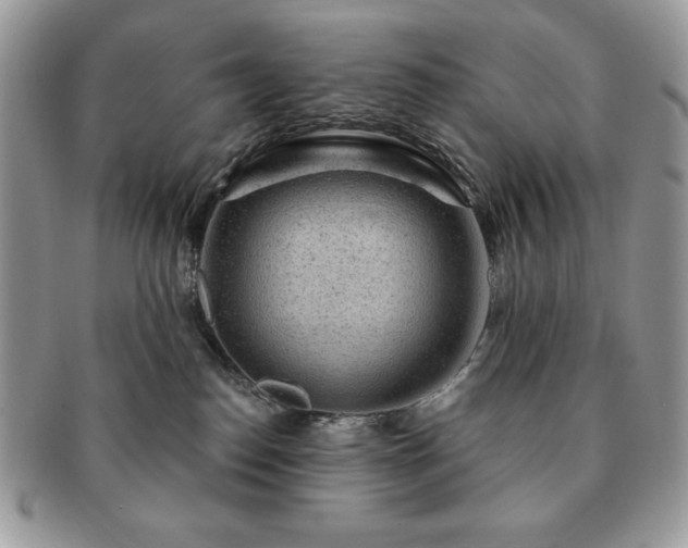 X0000091190186200708161559