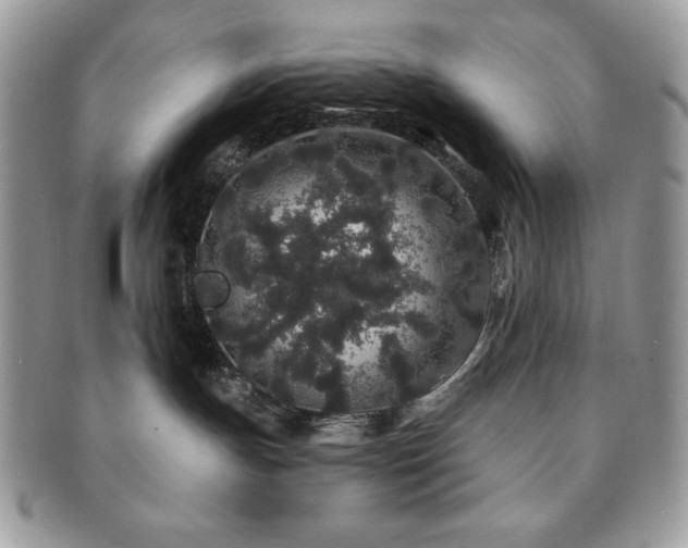 X0000091190191200708161559