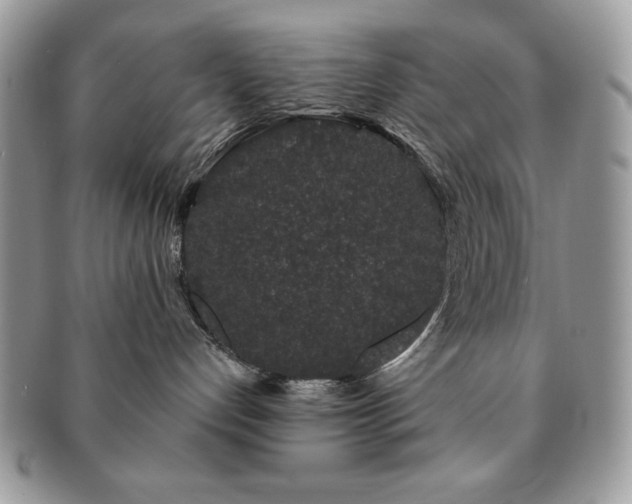 X0000091190192200708161559