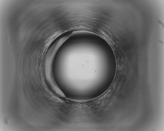 X0000091190193200708161559