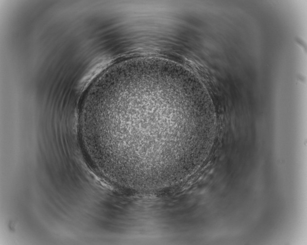 X0000091190194200708161559