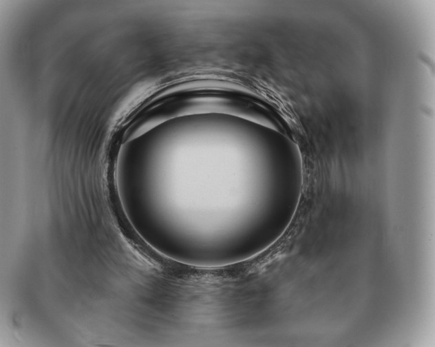 X0000091190197200708161559