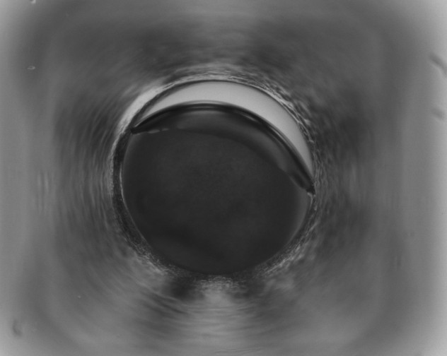 X0000091190200200708161558