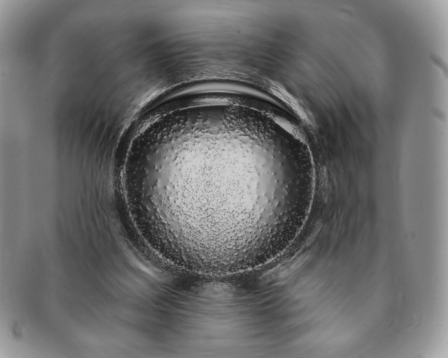 X0000091190203200708161558