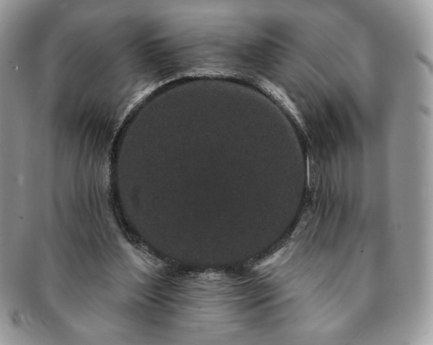 X0000091190204200708161558