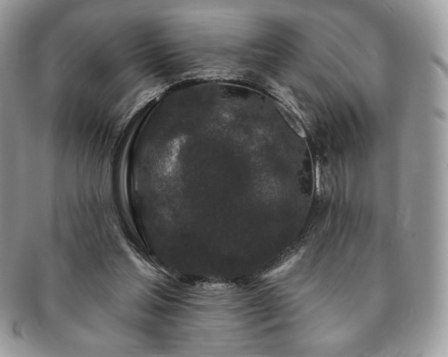 X0000091190205200708161558