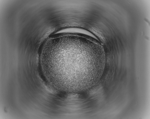 X0000091190206200708161558