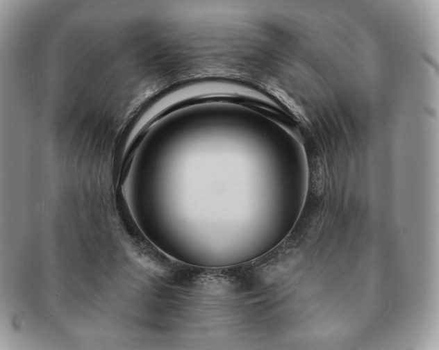 X0000091190207200708161558