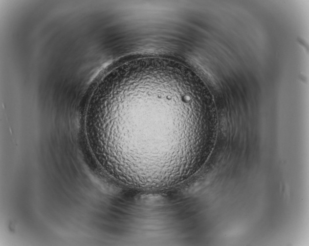 X0000091190208200708161558