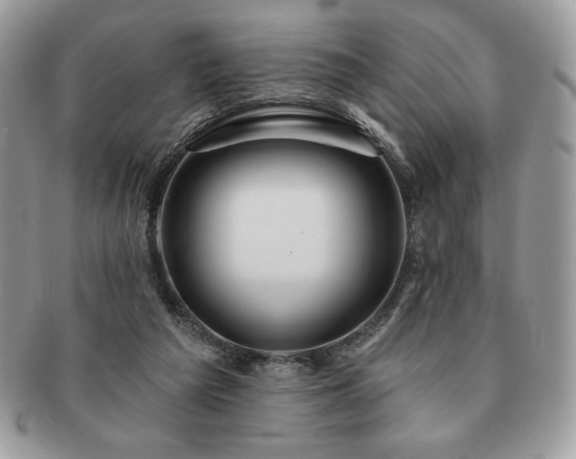 X0000091190209200708161558