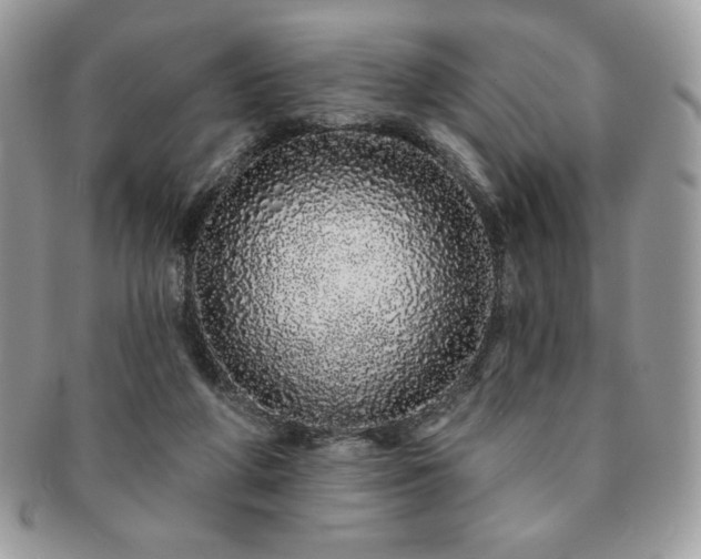 X0000091190210200708161558