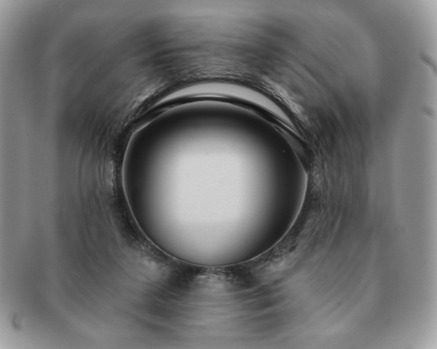 X0000091190211200708161558