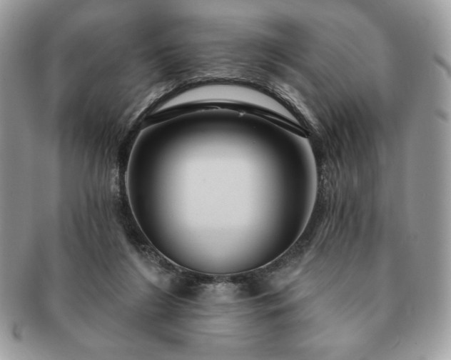 X0000091190212200708161558
